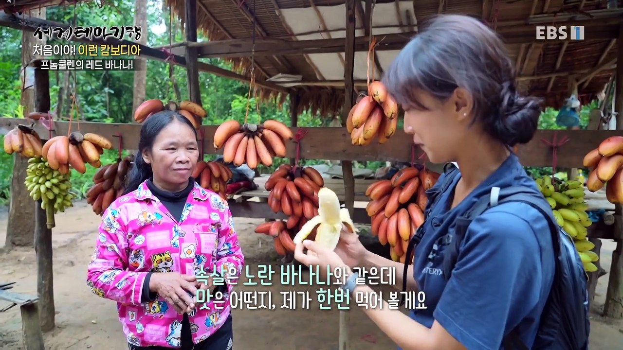 세계테마기행 - 처음이야! 이런 캄보디아!- 톤레사프의 잔칫날_#001
