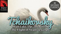 Tchaikovsky: Swan Lake, Op. 20, Act I: X. The Flight of Swans (excerpt)