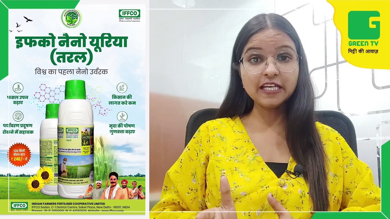 Kisan Bulletin 10 November 2022 -  कृषि वैज्ञानिकों ने विकसित की चने की नई किस्म, कम लागत में मिलेगी ज्यादा पैदावार | Kisan Bulletin | Green TV