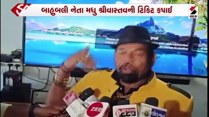 મધુ શ્રીવાસ્તવ બળવાના મૂડમાં: અપક્ષમાંથી ચૂંટણી લડી શકે