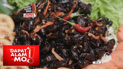 Edible crickets o kuliglig, tikman! | Dapat Alam Mo!