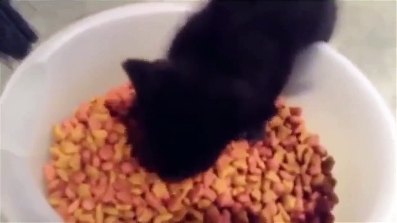 MEMES COMPILATION  part 1