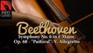 Beethoven: Symphony No. 6 in F Major, Op. 68 - "Pastoral": V. Allegretto