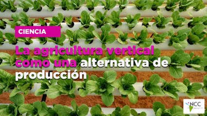 La agricultura vertical como una alternativa de producción