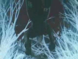 Final fantasy VII Advent Children