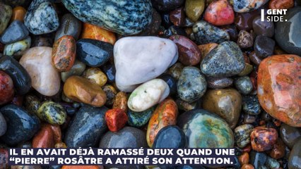 Cette jolie "pierre" présente sur les plages pourrait vous brûler au second degré