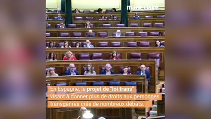 Le discours d'Irene Montero sur le projet de "loi trans"en Espagne crée de nombreux débats