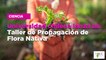 Universidad chilena lanza un Taller de Propagación de Flora Nativa