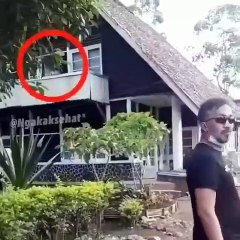 PENAMPAKAN APA ITU GAESS