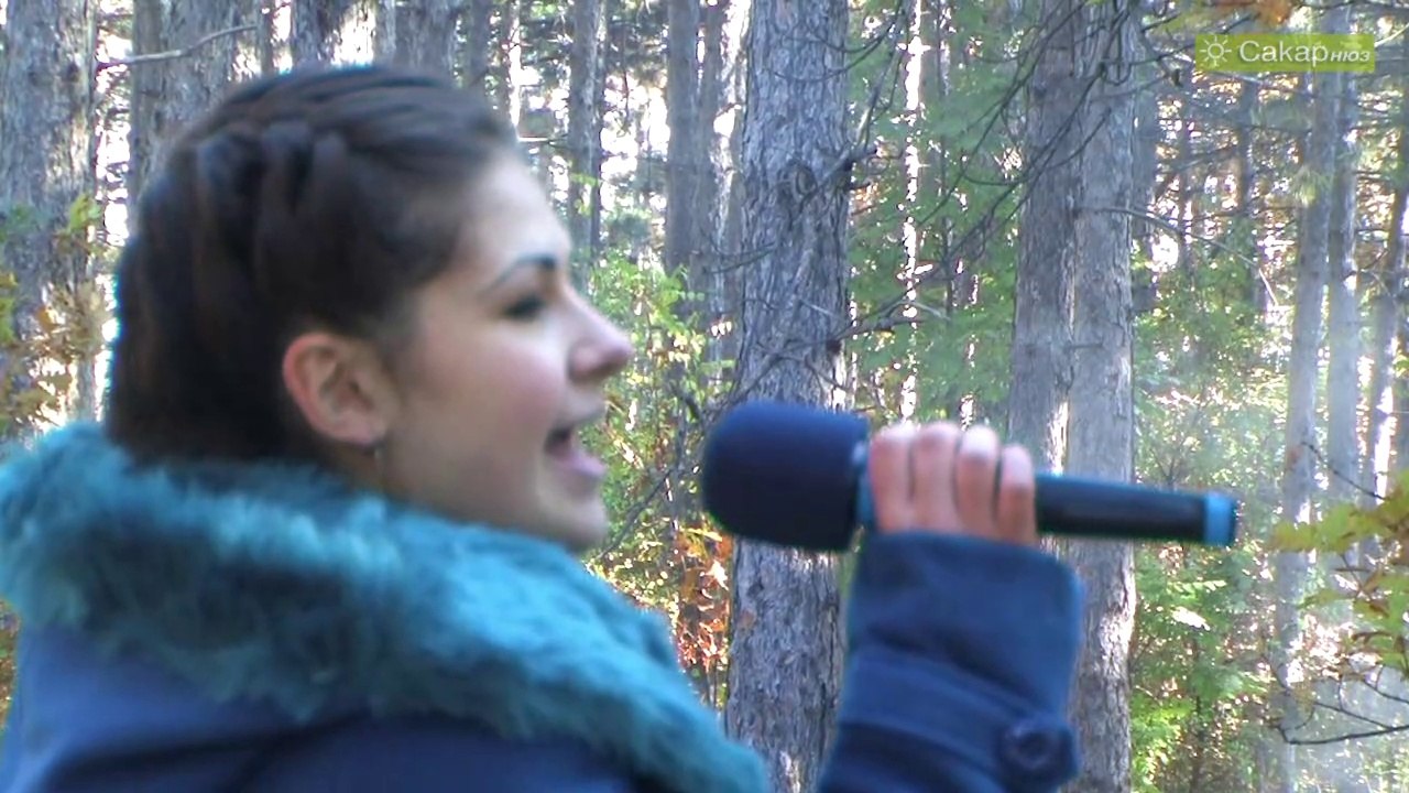 Празник на виното в Харманли, 2012 г.