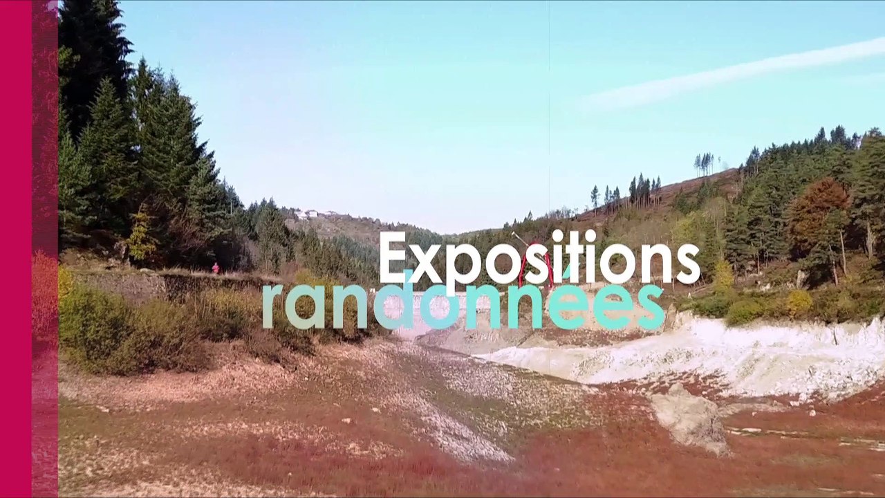 Toutes vos sorties dans la Loire !