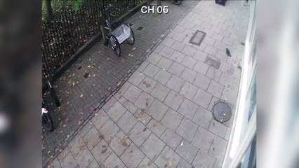 Man hunt after scooter runs over pigeon then finishes bird off with walking stick