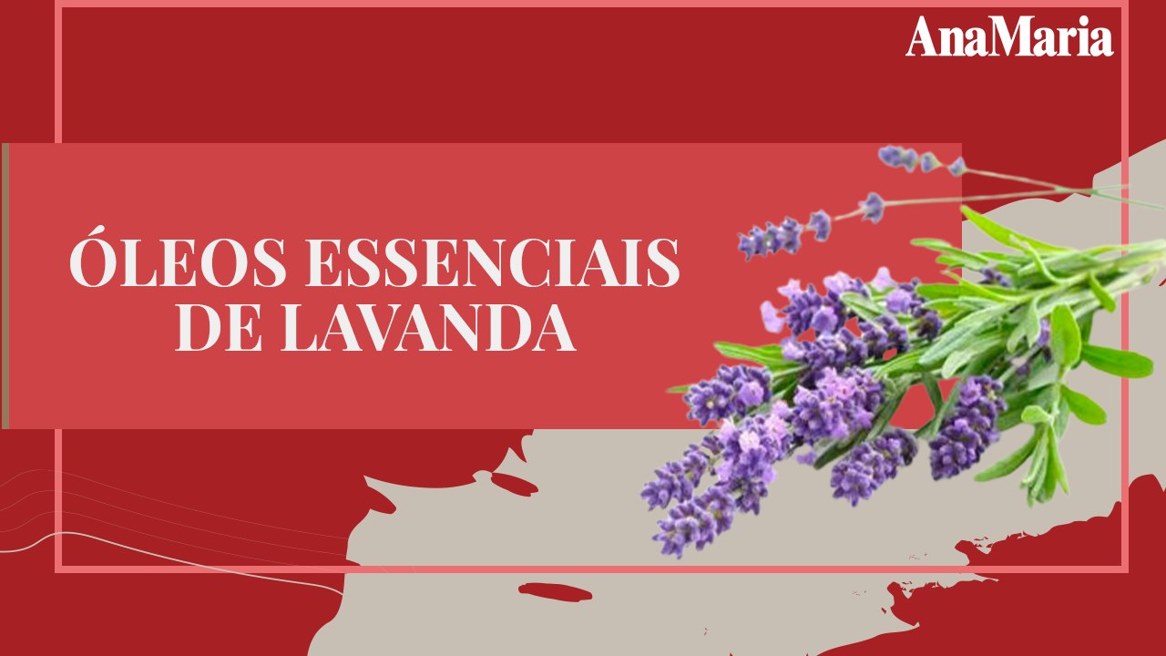 VOCÊ SABIA QUE DORMIR SE TORNOU LUXO PARA MUITA GENTE?