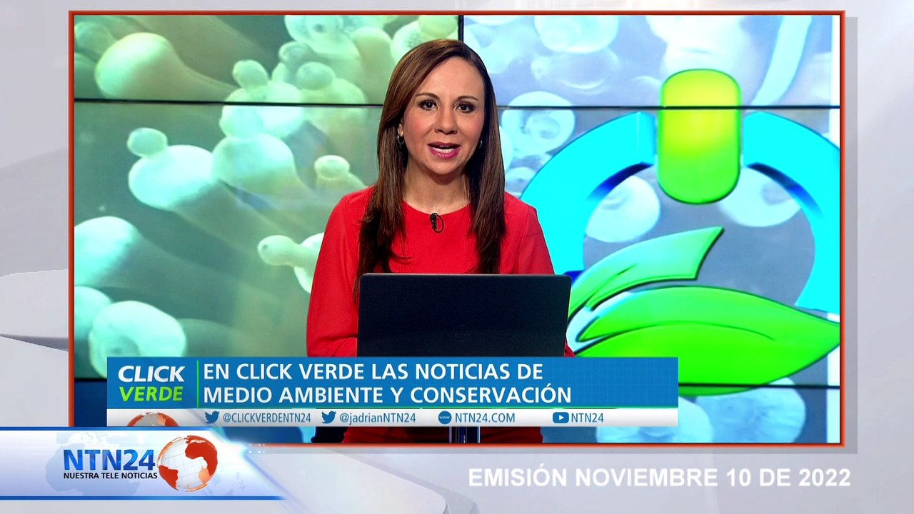 Arrancó COP27: cambio climático no da tregua a países de bajos ingresos