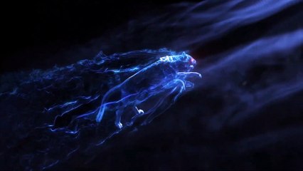 D298 USB Computer Headset (Review)