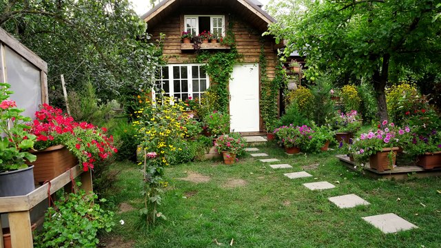 Baking Four Types of Traditional Village Breads in a Rustic Oven
