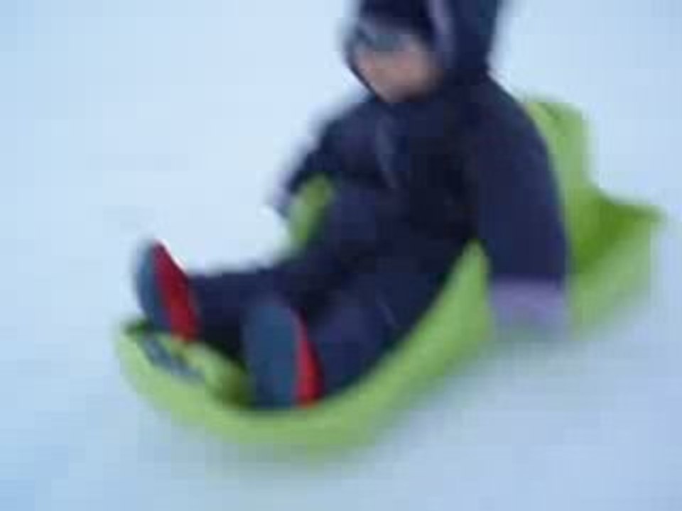 luge
