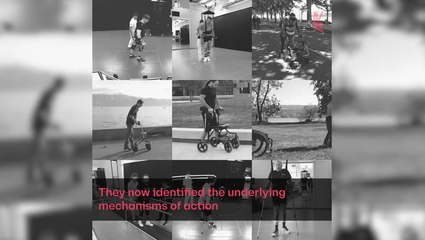 Paralysed patients walk again after breakthrough nerve cell discovery