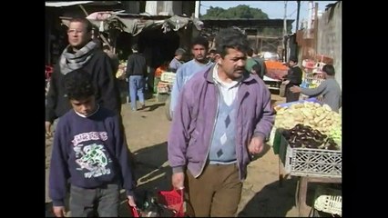 The Heartbreaking Story Of The Gaza Tea Boy Unholy Land