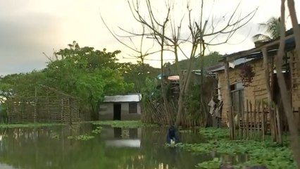 Nueva jornada de fuertes lluvias deja miles de damnificados: este es el panorama nacional