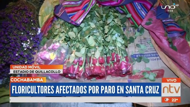 Floricultores de Cochabamba afectados por conflictos en Santa Cruz rematan su producción