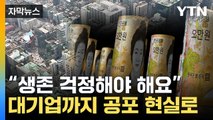 [자막뉴스] 흑자 기업마저 위험...'줄도산 공포'에 떠는 한국 / YTN