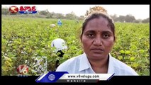 Woman Sarpanch Turned As Agricultural Worker Due To Gram Panchayat Pending Bills  | V6 Teenmaar (1)