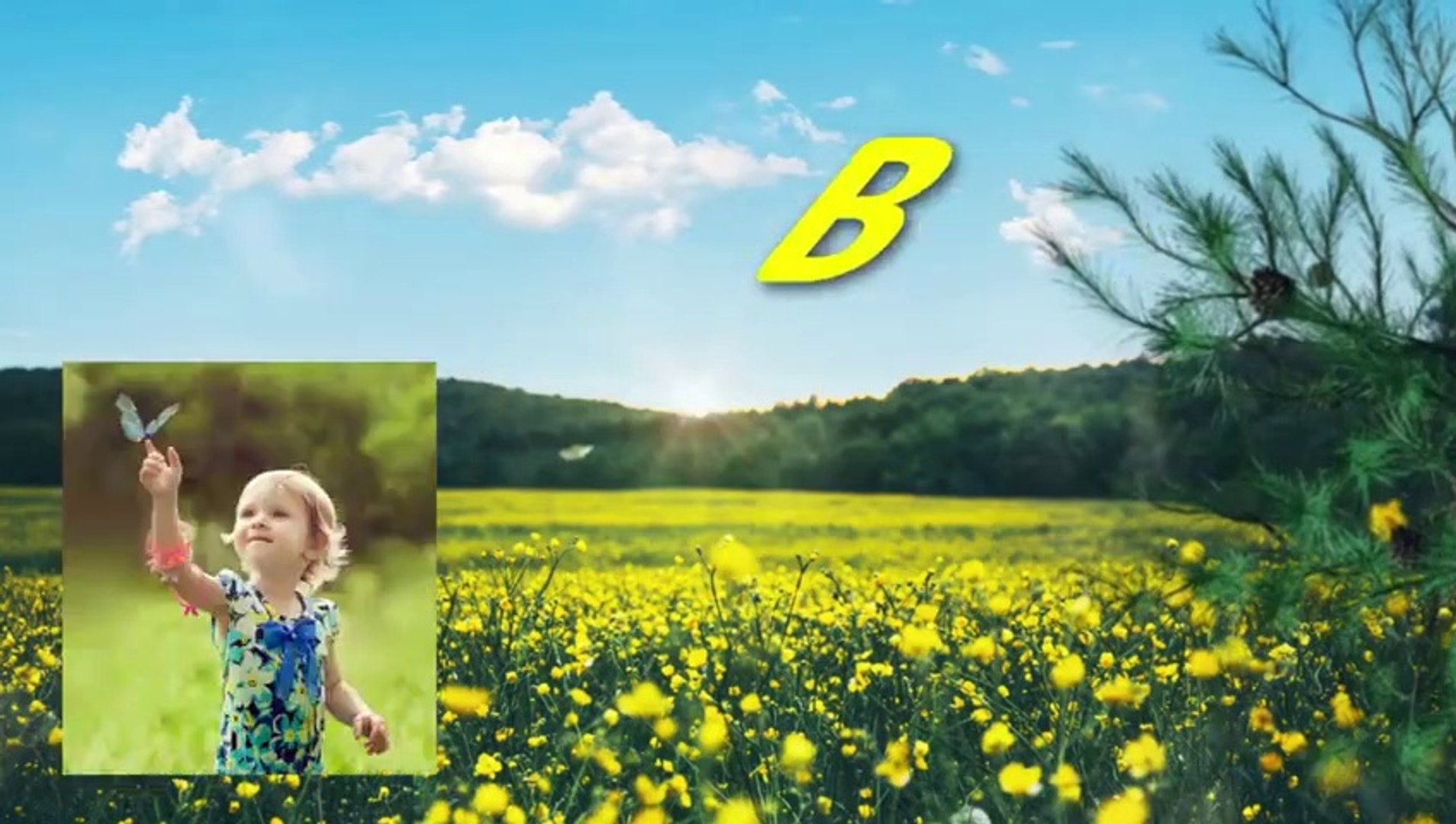 ⁣RELAXING, Nature, SOUNDS, Forest, SOUNDS, Birds, NATURE, Butterflies, Stress, Relief, HD, Video