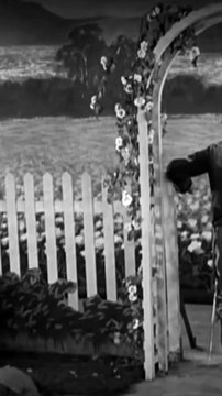 Suga Boom Boom Ft. Key Crashers & Buster Keaton (Story 6)