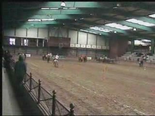 Slalom