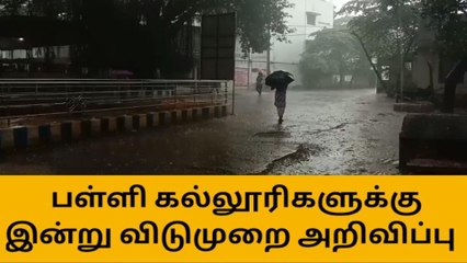 தஞ்சை மாவட்டத்திற்கு பள்ளி, கல்லூரிகளுக்கு விடுமுறை அறிவிப்பு
