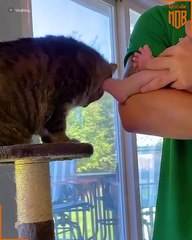 Cat and their lil hooman