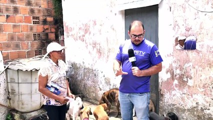ATIVISTA DA CAUSA ANIMAL CUIDA DE 26 CACHORROS  E PRECISA DE AJUDA