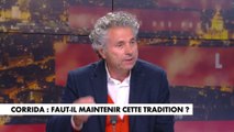 Gilles-William Goldnadel sur la Corrida : «Je préférerais 1000 fois que les Insoumis militent contre la maltraitance animale»