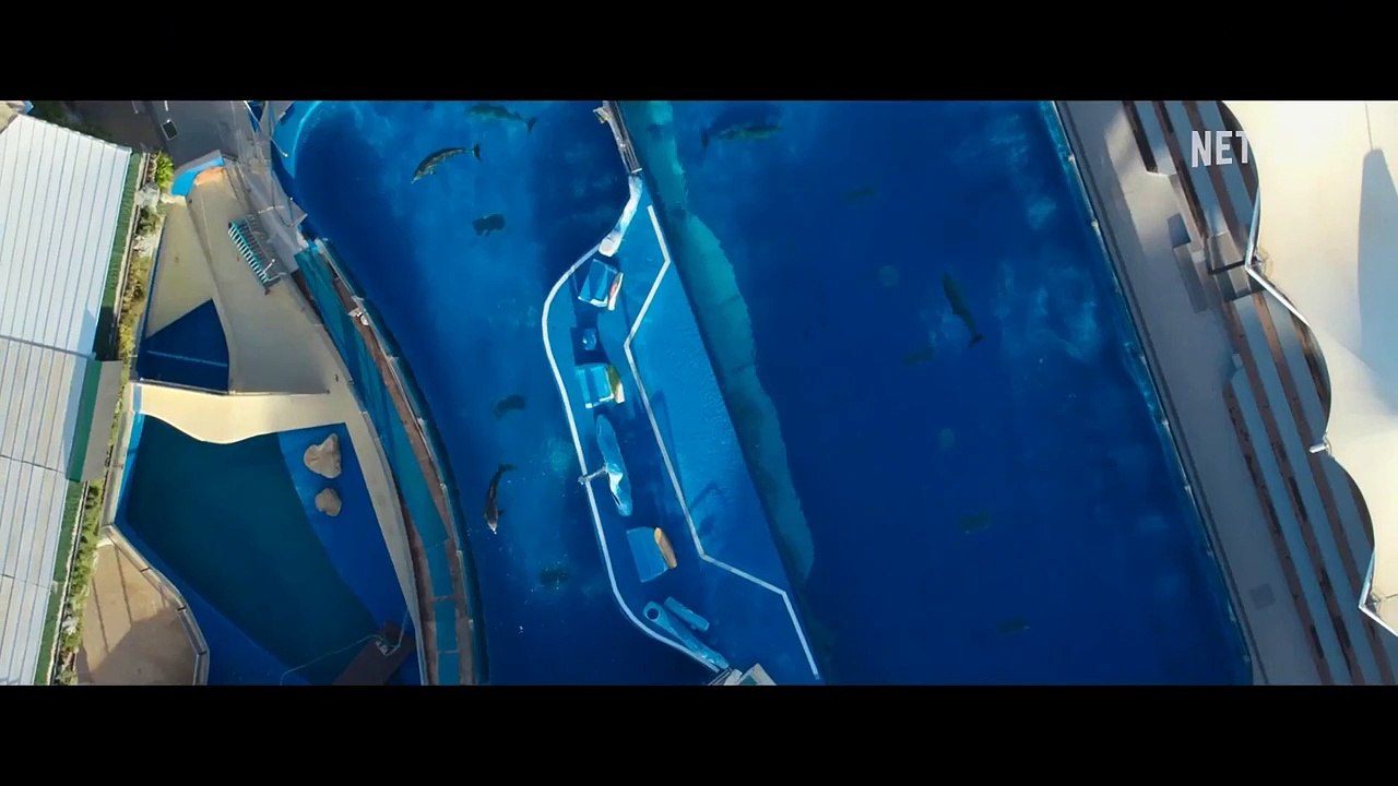 Was geschah mit dem Delfin-König? Trailer OV