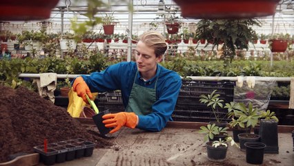 Nicholas Thomas Del Franco: Integrated Pest Management Strategies