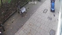 Hunt for man who ran over pigeon in mobility scooter