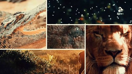 اخطر 5 حيوانات  على الكوكب