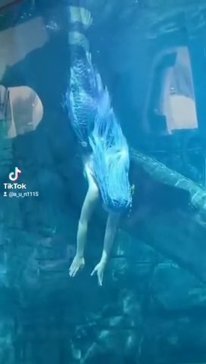 A mermaid