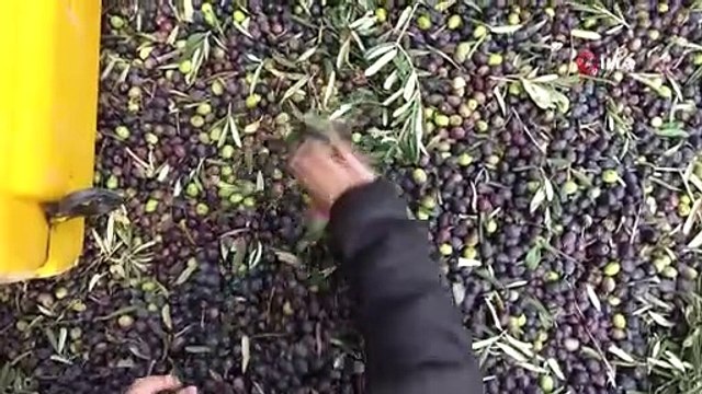 Dört bir yandan talep var! Fabrikalarda ışıklar sönmüyor