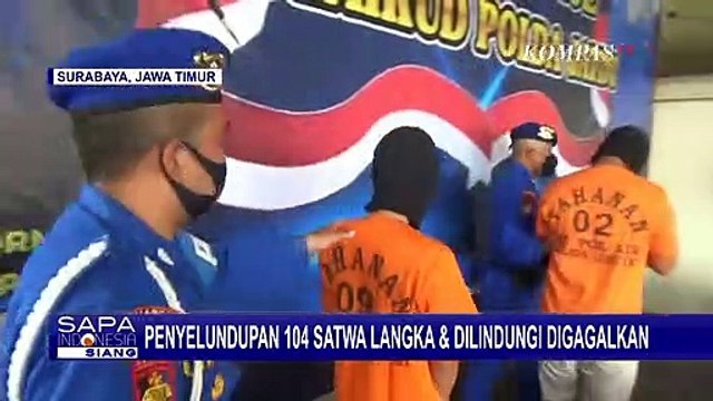 Polisi Gagalkan Penyelundupan 104 Satwa Langka dan Dilindungi, 2 Tersangka Berhasil Ditangkap!