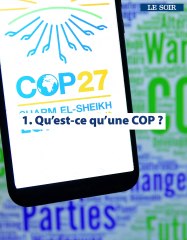 Tout comprendre à la COP27 en quatre questions