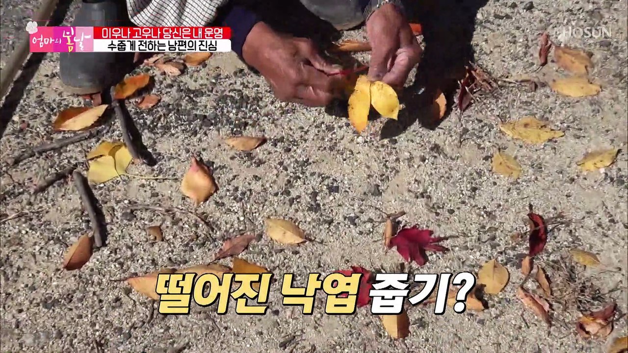 엄마를 위해 정성껏 준비한 남편의 편지 TV CHOSUN 20221113 방송