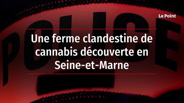 Une ferme clandestine de cannabis découverte en Seine-et-Marne