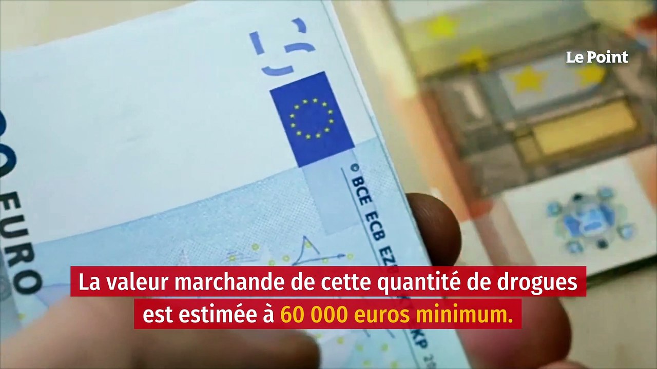 Une ferme clandestine de cannabis découverte en Seine-et-Marne