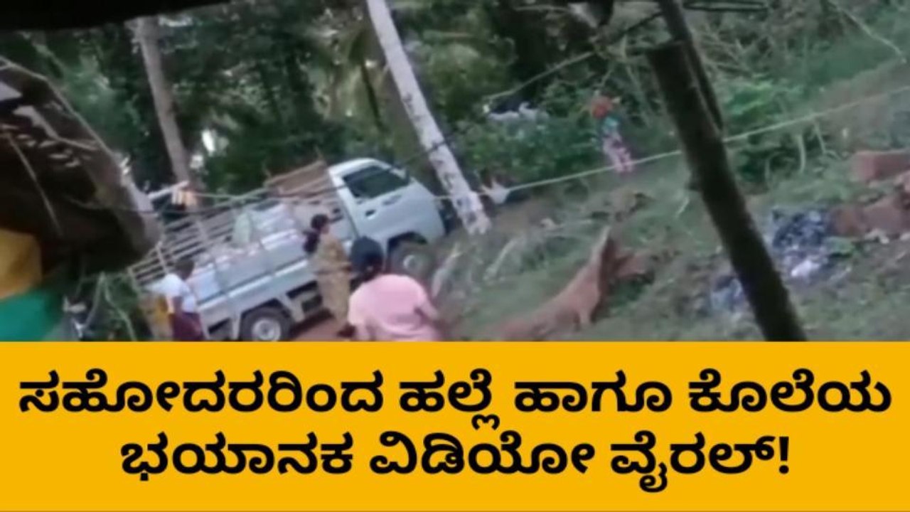 ರಾಡ್ ನಿಂದ ಸಹೋದರನ ಮೇಲೆ ಹಲ್ಲೆ - ಭಯಾನಕ ದೃಶ್ಯ ವೈರಲ್