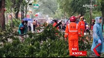 Pengendara Sepeda Motor di Kota Malang Meninggal  Tertimpa Pohon Tumbang