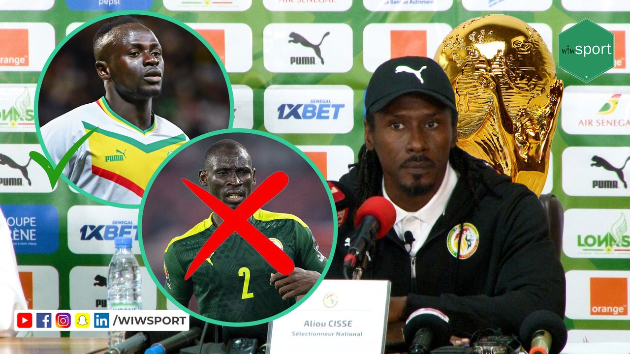 Liste des 26 Lions convoqués pour la coupe du monde