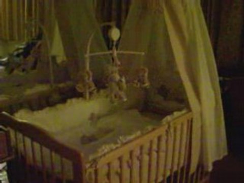 Girafes et Elephants