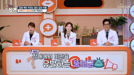 몸속 뚱보균 번식을 먹고 장 환경 개선해 주는 「●●●」 TV CHOSUN 20221111 방송